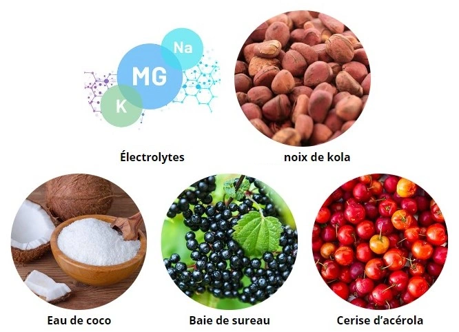principaux-ingredients-skny-hydrate-cocomango